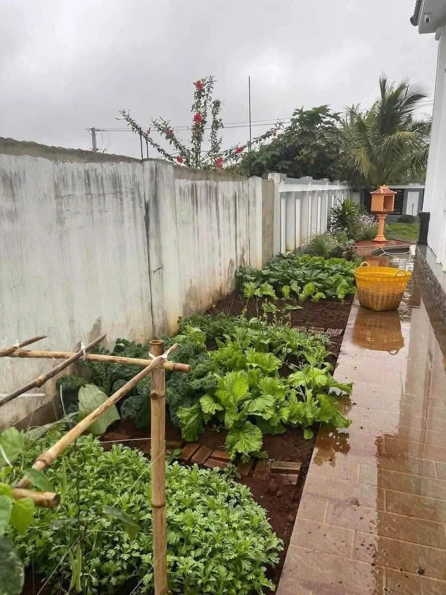 Bán biệt thự sân vườn 1000m² Quốc Lộ 26 - Ảnh thu nhỏ 5