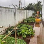 Bán biệt thự sân vườn 1000m² Quốc Lộ 26 - Ảnh thu nhỏ 5