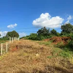Bán đất 2.400m² Trương Định Pleiku, view ruộng - Ảnh thu nhỏ 2