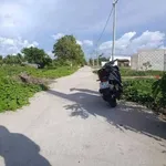 Bán đất mặt tiền Kinh 7 Thạnh Lộc 500m² - Ảnh thu nhỏ 4