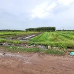 5x25 full thổ. Gần Nông trường Cao su Cầu Khởi. 195tr hết đất - Ảnh thu nhỏ 2