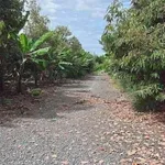 Bán 3000m² đất vườn sầu riêng Bàu Hàn Đồng Nai - Ảnh thu nhỏ 1