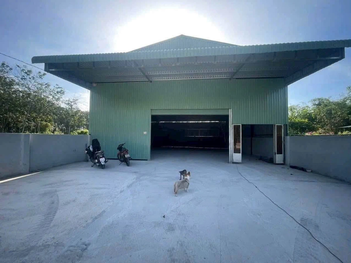 Cho thuê kho 300m² Phú Chánh, TP Mới Bình Dương, 20 triệu/tháng - Ảnh 1