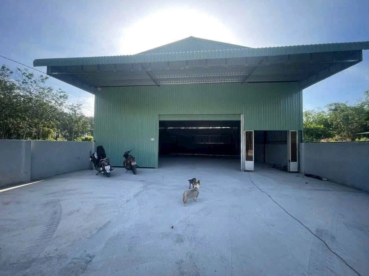 Cho thuê kho 300m² Phú Chánh, TP Mới Bình Dương, 20 triệu/tháng - Ảnh 1