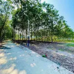 Bán đất mặt tiền Cao Bá Quát 525m2 Bình Chánh - Ảnh thu nhỏ 3