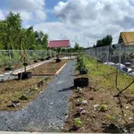 Bán nhà vườn 1000m² Thủ Thừa, Long An giá 1,199 tỷ - Ảnh thu nhỏ 5