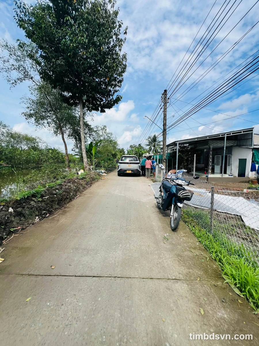 Bán đất trồng mít Thái 6835m² Đông Phước A Cần Thơ - Ảnh thu nhỏ 2