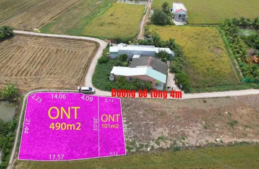 Bán đất thổ cư 490m² giá 750 triệu Đức Tân Tân Trụ - Ảnh thu nhỏ 2