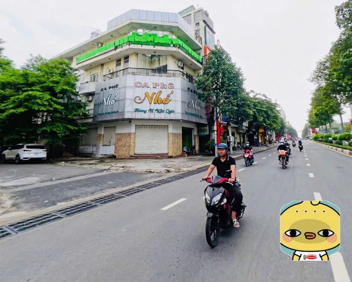 Bán nhà phố kinh doanh 4 tầng mặt tiền Đồng Khởi 200m2 Đồng Nai - Ảnh 1