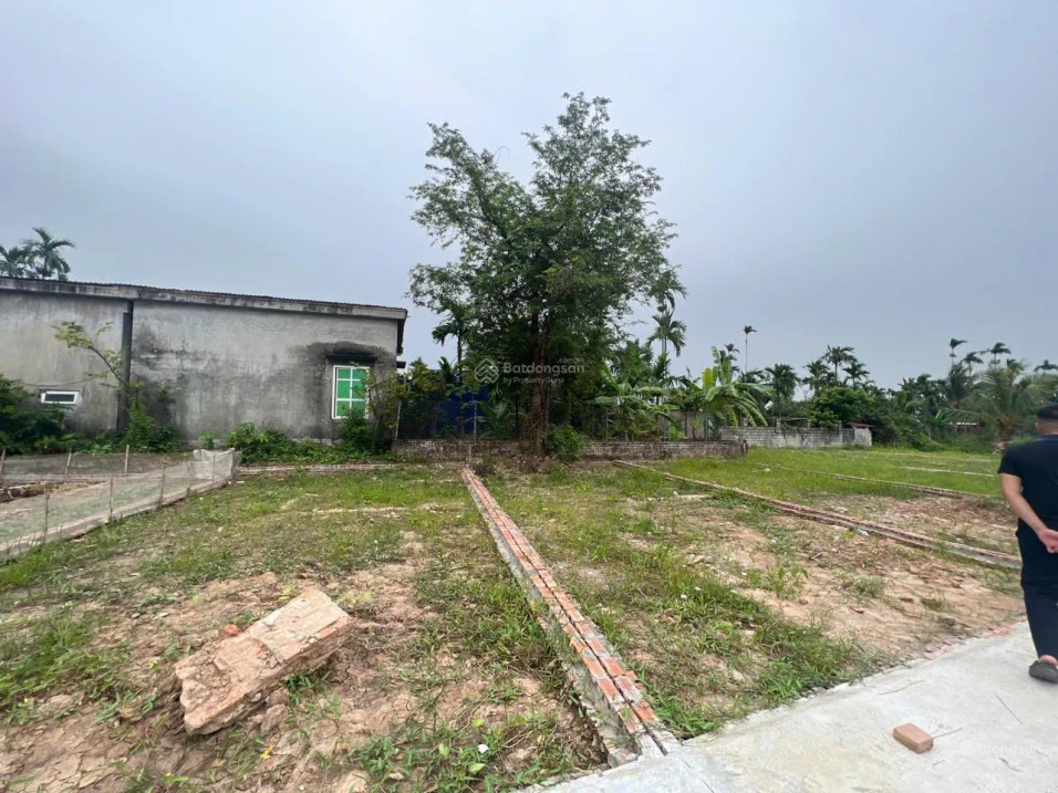 Lô đất rẻ đẹp nhì Kiến Thụy giá trị thực sinh lời tốt cho nhà đầu tư. LH: 0984 986 *** - Ảnh thu nhỏ 2