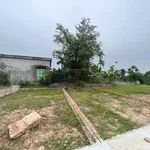 Lô đất rẻ đẹp nhì Kiến Thụy giá trị thực sinh lời tốt cho nhà đầu tư. LH: 0984 986 *** - Ảnh thu nhỏ 2