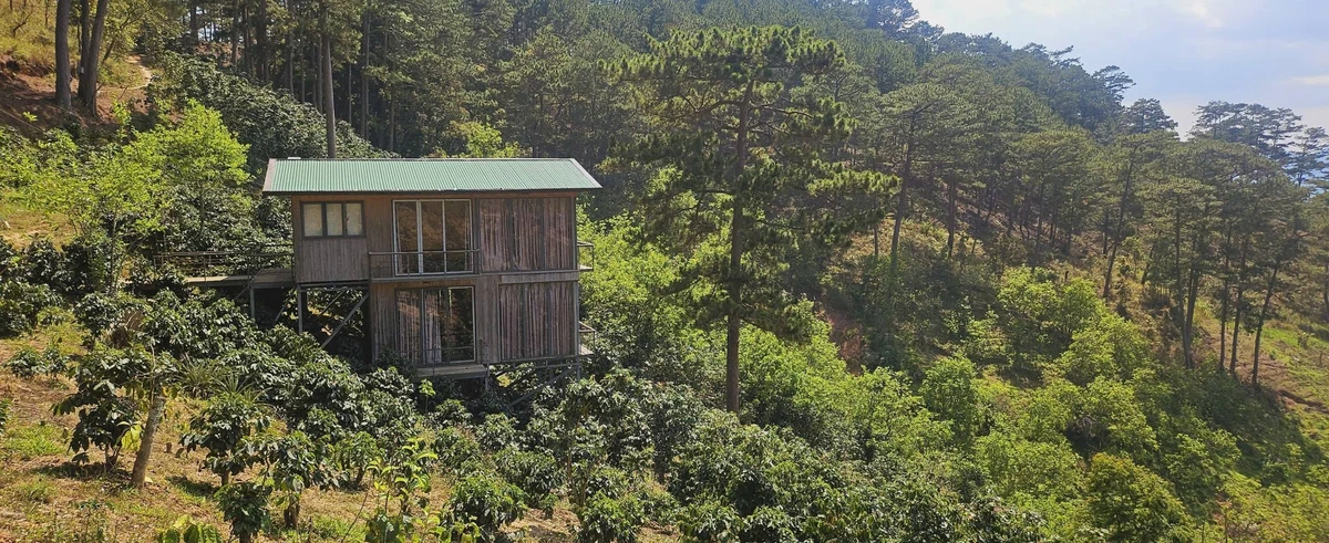 Bán đất 1.000m² Xuân Trường Đà Lạt, có nhà sẵn, 1,269 tỷ - Ảnh thu nhỏ 5