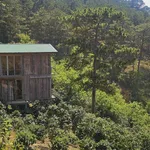 Bán đất 1.000m² Xuân Trường Đà Lạt, có nhà sẵn, 1,269 tỷ - Ảnh thu nhỏ 5