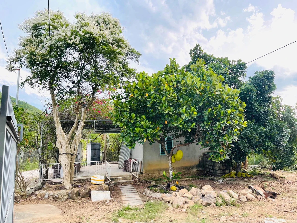 Nhà vườn 412m² bán 2 tỷ 568 triệu Liên Xã - Ảnh thu nhỏ 2
