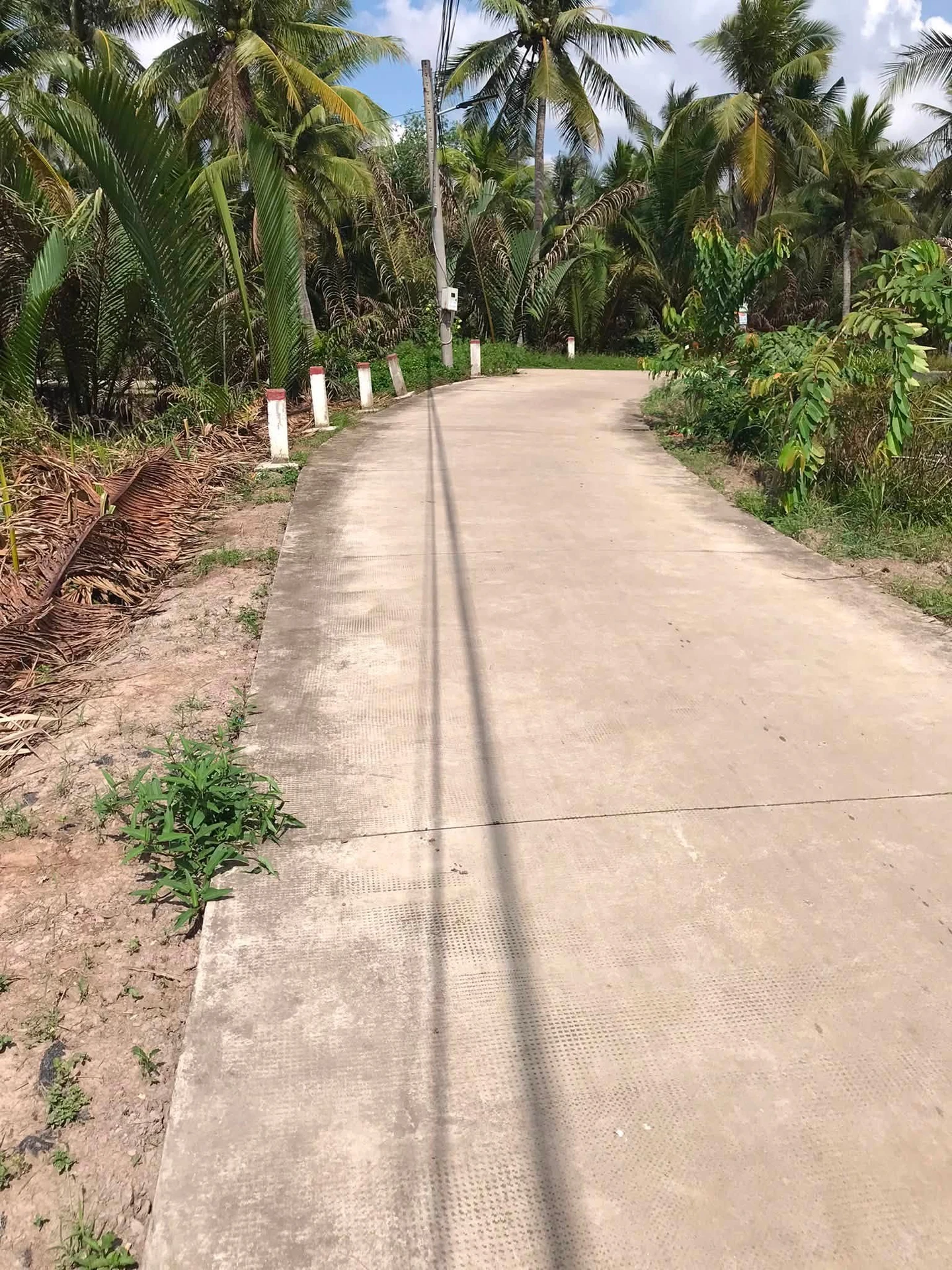 Bán đất vườn 3.290m² Vĩnh Long, 650 triệu/1000m² - Ảnh 1