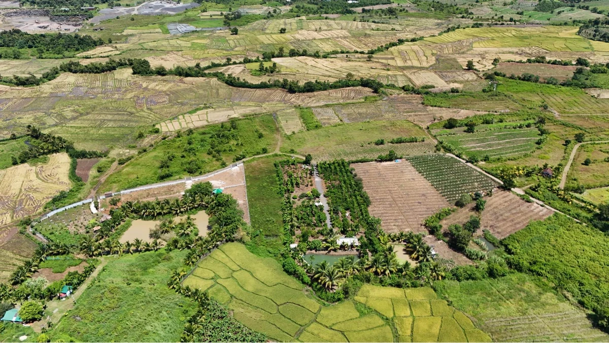 Bán 2,5 sào đất view Bến Mỹ Thuận, 1 tỷ 90 triệu - Ảnh thu nhỏ 4