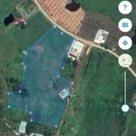 Bán đất vườn Bình Thuận 9.120 m² - Ảnh thu nhỏ 3