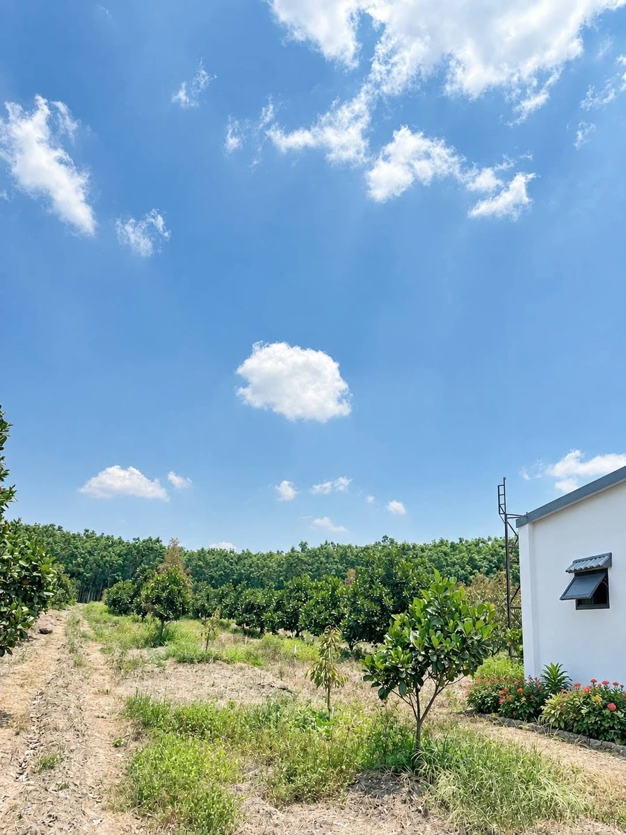 Bán nhà vườn 1000m² gần Chơn Thành - Ảnh thu nhỏ 2
