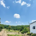 Bán nhà vườn 1000m² gần Chơn Thành - Ảnh thu nhỏ 2