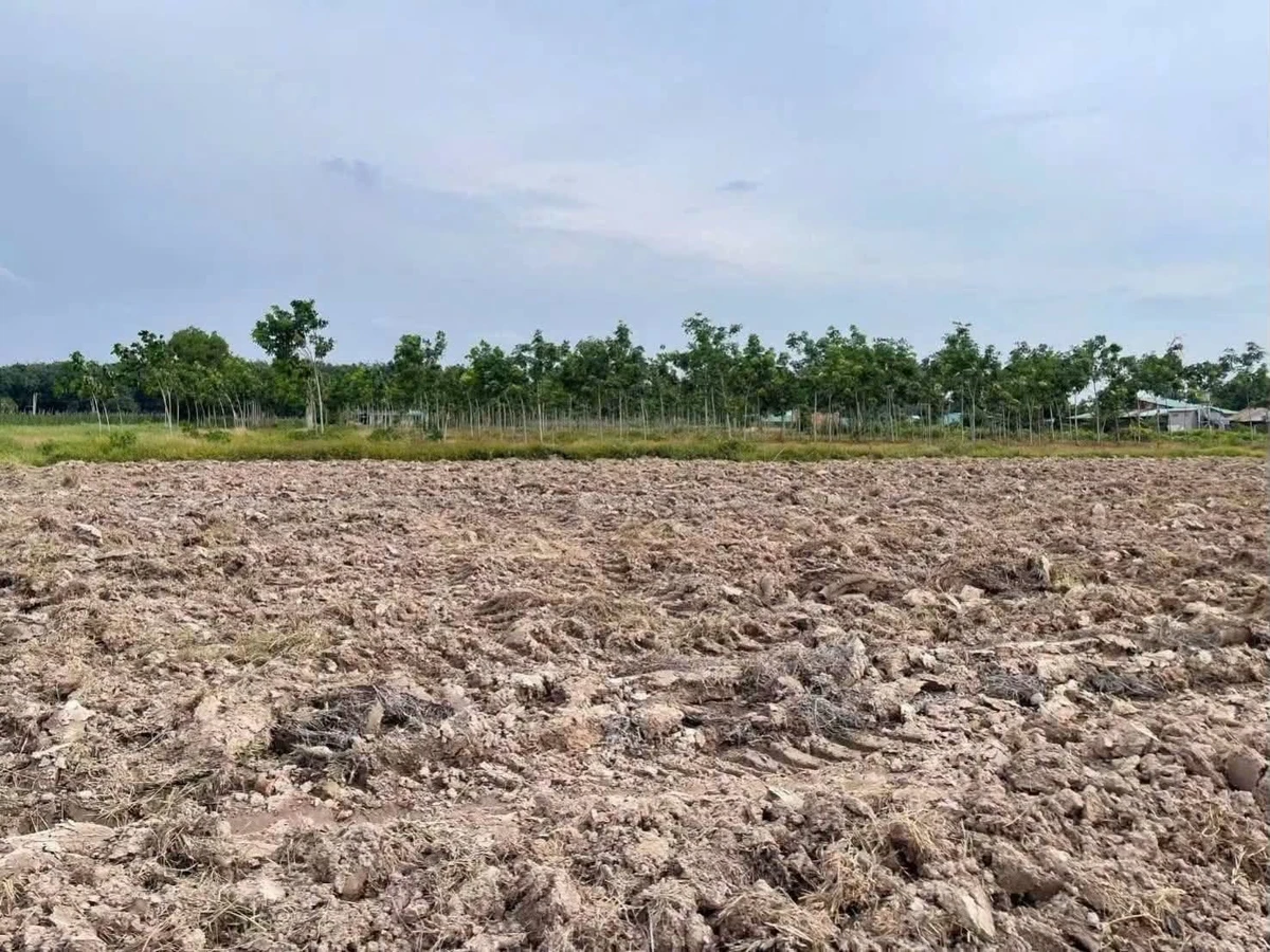 Bán đất thổ cư 400 m² gò cao tại Châu Thành, Tây Ninh - Ảnh 1