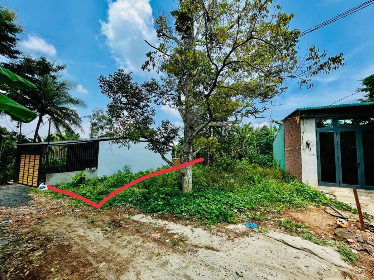 Bán đất 100m² hẻm Mại Thị Lựu Quận 7 - Ảnh thu nhỏ 3