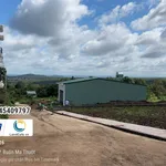 Bán nhà mê tân cổ điển 105m² đường Nguyễn Hữu Thấu - Ảnh thu nhỏ 2