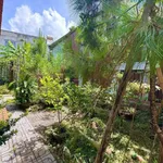 Bán nhà vườn 252m2 giá 2.3 tỷ Đồng Xoài - Ảnh thu nhỏ 3