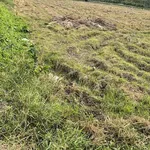 Bán đất mặt tiền 1000m2 thổ cư, sổ hồng riêng, đường Chính Cống, Xã Phước Lý, Cần Giuộc - Ảnh thu nhỏ 1