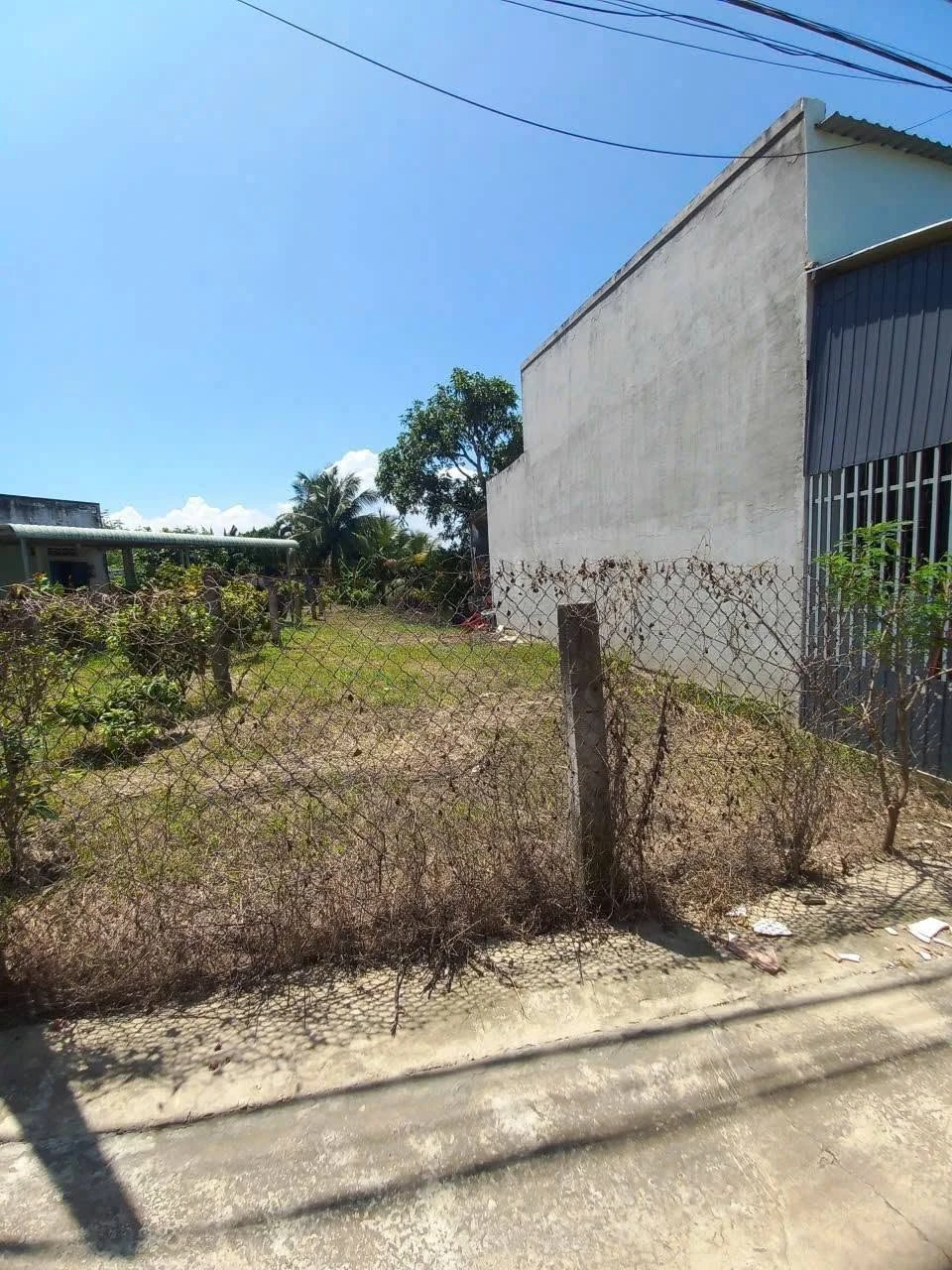 Bán đất thổ cư 100m² gần đường Đặng Văn Lãnh, Hóc Môn - Ảnh 1