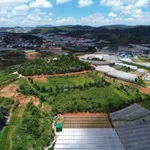 Bán đất view săn mây Lạc Dương 534m² - 2 tỷ 3 - Ảnh thu nhỏ 3