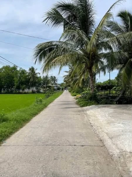 Bán đất mặt tiền Ngô Thì Sỹ 802m² An Giang - Ảnh thu nhỏ 2