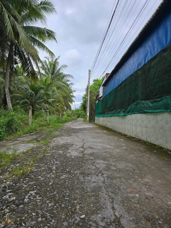 Bán nền đất 158,8m² khu dân cư cầu Phú Dân, Phú Tân, Vĩnh Long