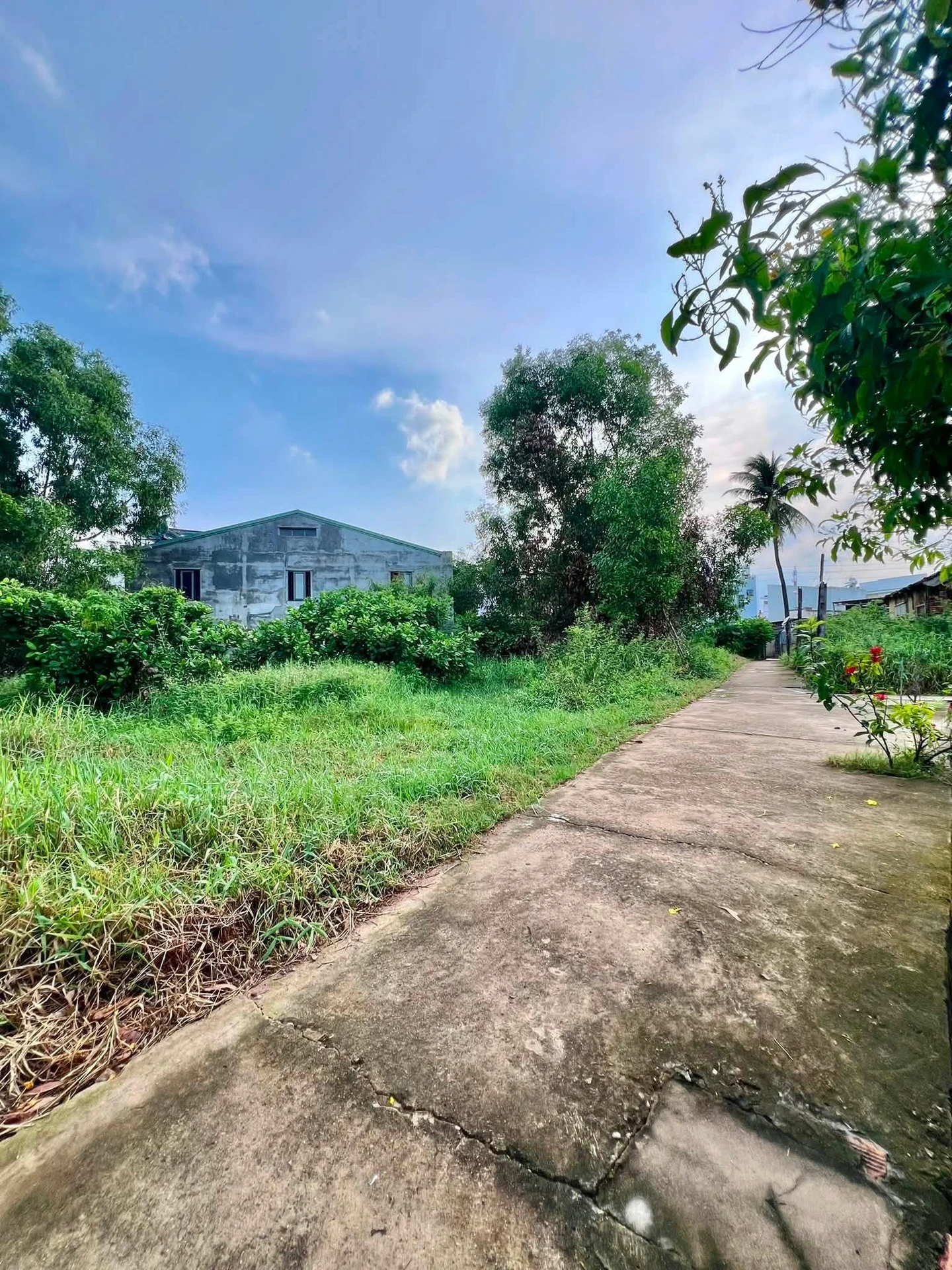 Bán đất 876,8 m² tại Phan Thiết, Bình Thuận - Ảnh 1