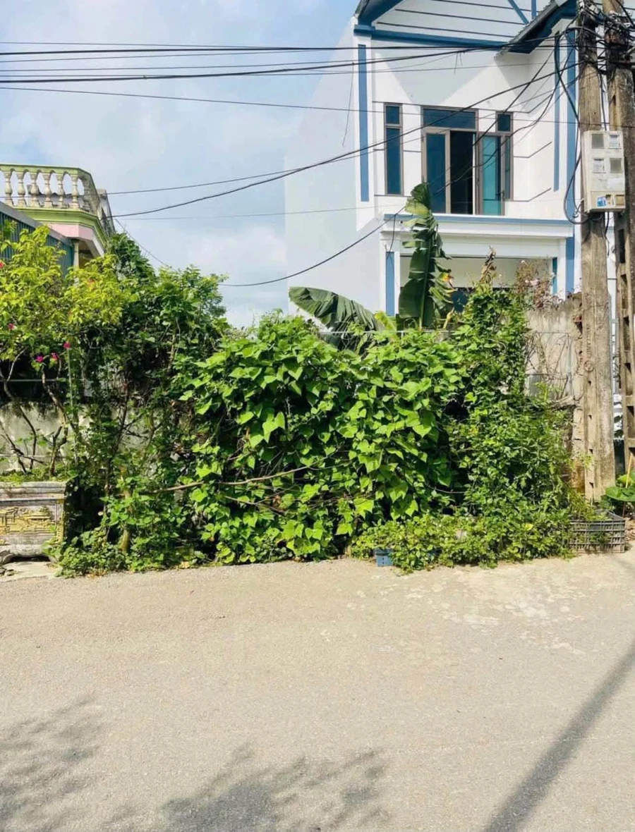 Bán đất Dã Tượng Phố 5 Quảng Hưng 96,6m2 - Ảnh thu nhỏ 3
