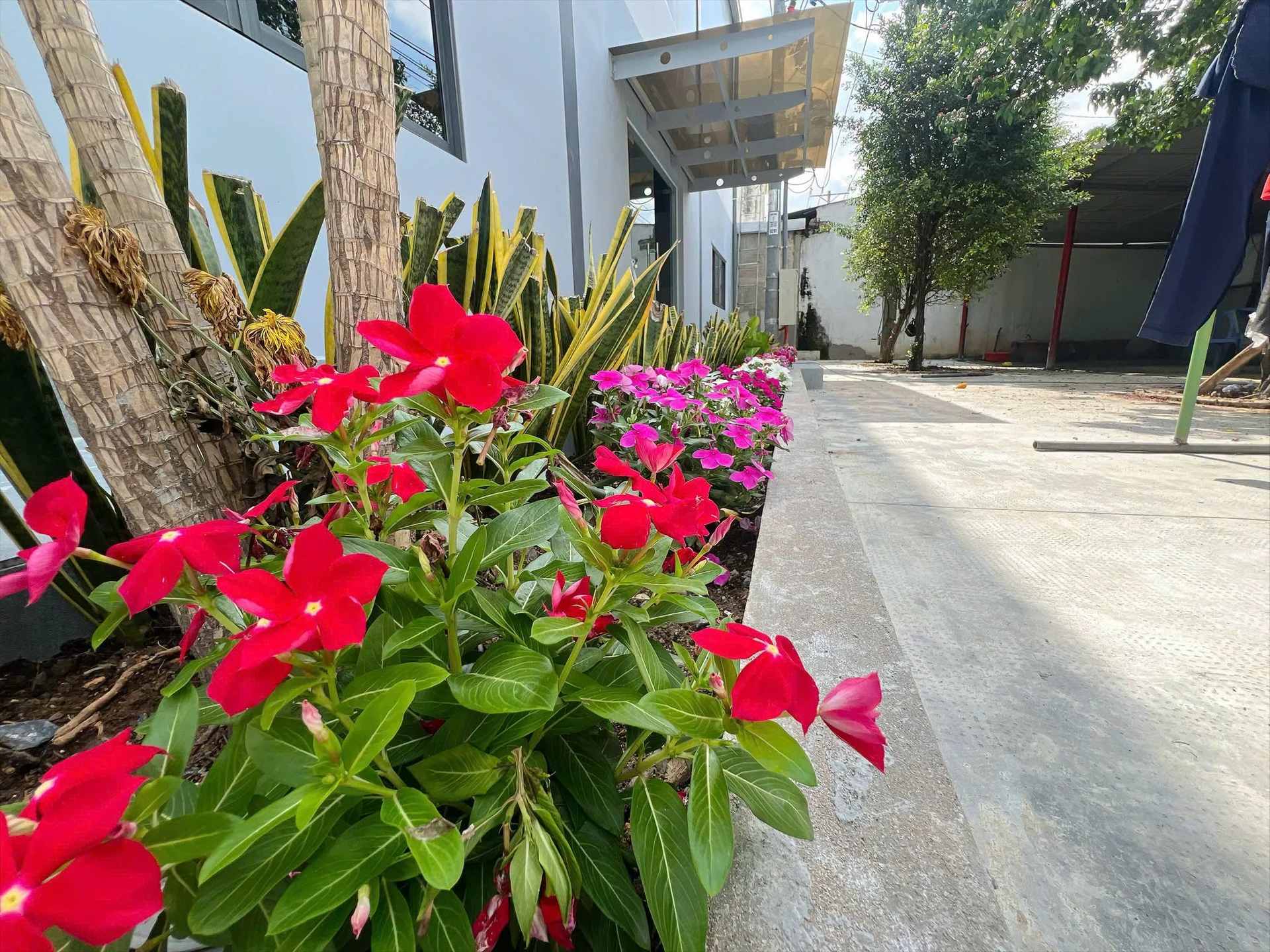 Cho thuê kho xưởng 2500m2 mặt tiền Phước Tân, Đồng Nai - Ảnh 1