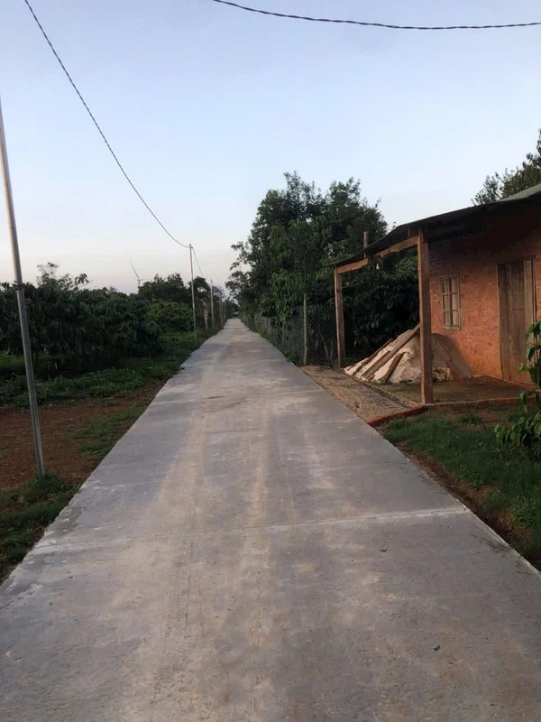 Bán đất 14x75 (1050m²) Xã Thuận Hạnh, Đắk Song - 399 triệu
