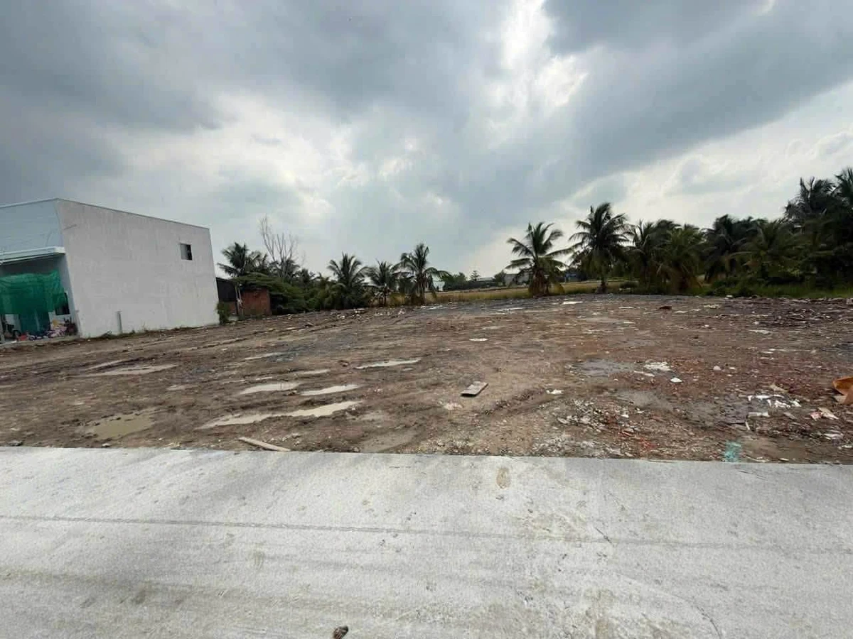 Bán đất thổ cư 175m² Bình Chánh, 1 tỷ 299 triệu - Ảnh thu nhỏ 5