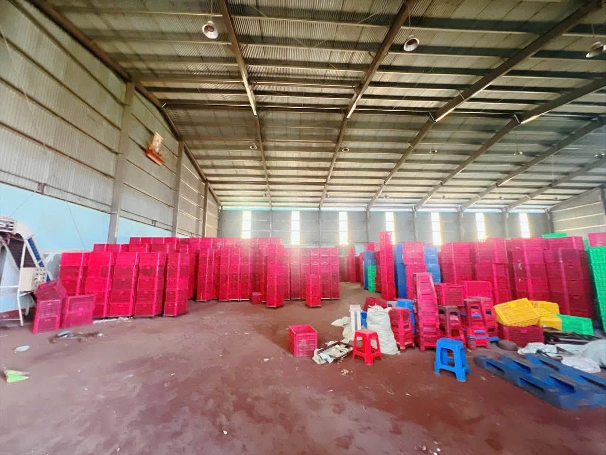 Cho thuê nhà xưởng 4800m2 Gia Kiệm, Đồng Nai 60 triệu/tháng - Ảnh thu nhỏ 3
