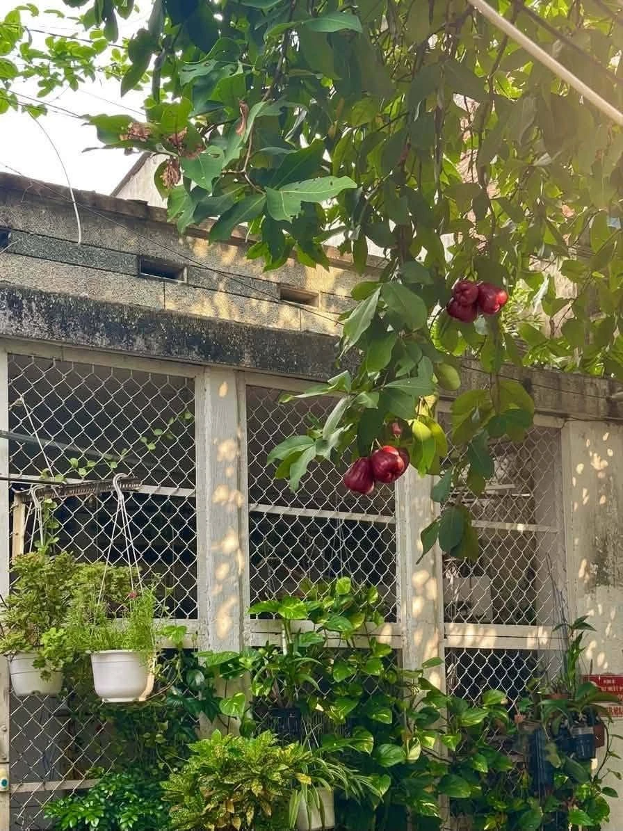 Bán nhà 75,6m2 đường Chu Văn An, Bình Thạnh giá 8,95 tỷ - Ảnh thu nhỏ 2