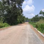 Bán đất Nhà Bè 1254m² giáp sông Thị Tính 1 tỷ 320 triệu - Ảnh thu nhỏ 3