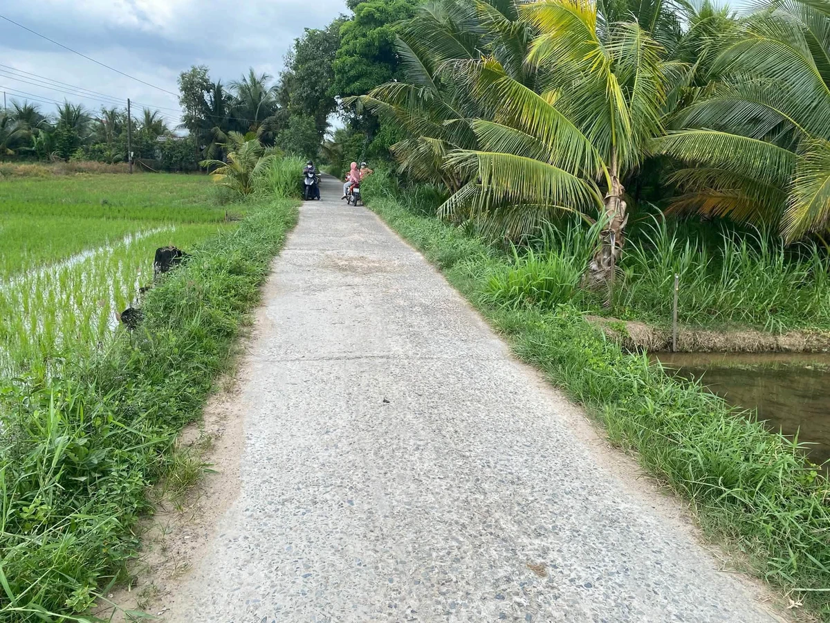 Bán đất ruộng 2.4 công mặt tiền 650 triệu Vĩnh Long - Ảnh 1