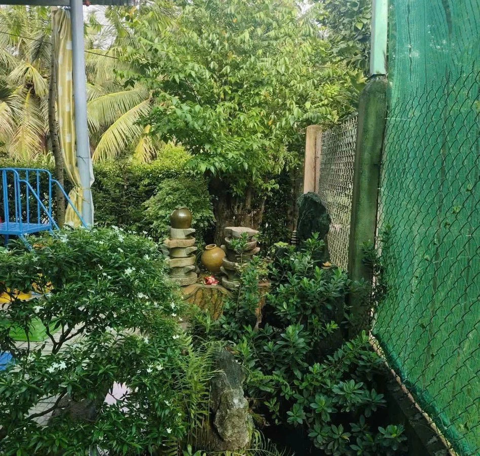 Bán nhà gỗ full nội thất có hồ bơi 877,5m² Cần Giờ, giá 3 tỷ 4 - Ảnh thu nhỏ 3