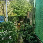 Bán nhà gỗ full nội thất có hồ bơi 877,5m² Cần Giờ, giá 3 tỷ 4 - Ảnh thu nhỏ 3