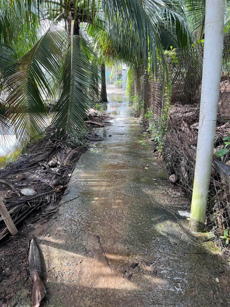 Nền bán Long Hòa 137.5m2 sổ hồng 350 triệu - Ảnh 1