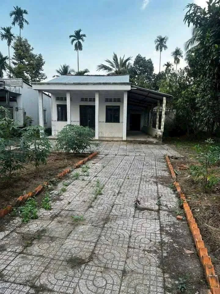Bán đất 494m² Phường Hưng Phú, Cần Thơ 890 triệu - Ảnh thu nhỏ 3