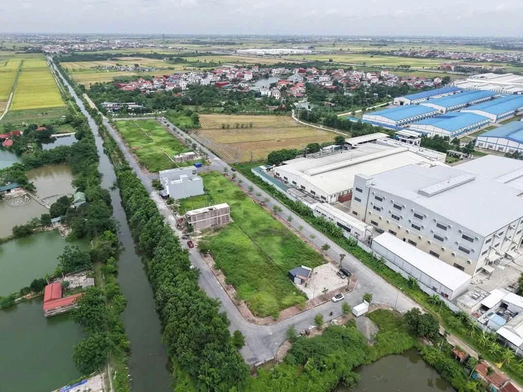 Bán đất nền 85,5m² Thanh Miện Hải Dương giá khoảng 1 tỷ - Ảnh thu nhỏ 3