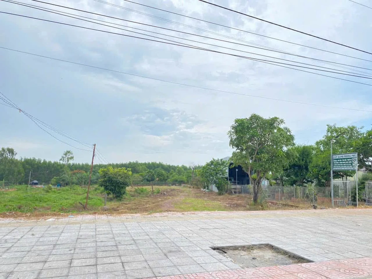 Bán đất 2.200m2 mặt tiền Hương Lộ 2 Bà Rịa 13 tỷ 5 - Ảnh thu nhỏ 2