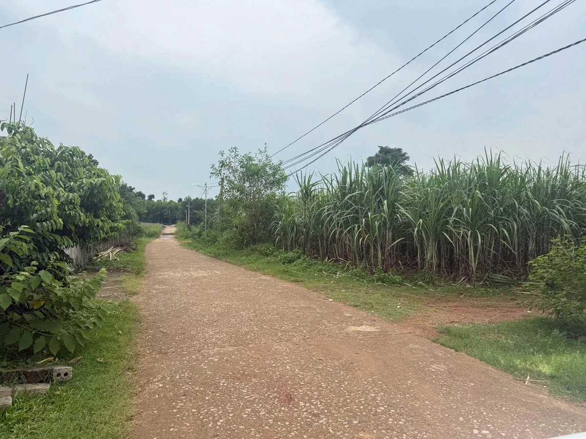 Bán đất Quỳnh Thắng 3433m2 giá 1 tỷ 3 - Ảnh thu nhỏ 3