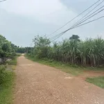 Bán đất Quỳnh Thắng 3433m2 giá 1 tỷ 3 - Ảnh thu nhỏ 3