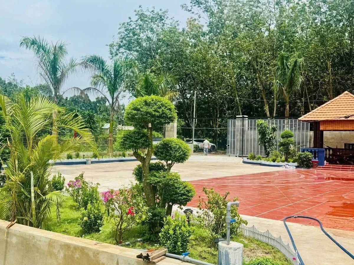 Bán nhà vườn 1.800m² An Thái, Phú Giáo, Bình Dương giá 3,5 tỷ - Ảnh thu nhỏ 4